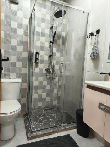 a bathroom with a shower with a toilet and a sink at Cosy Flat with IPTV, BB gear Married couples only in Tangier