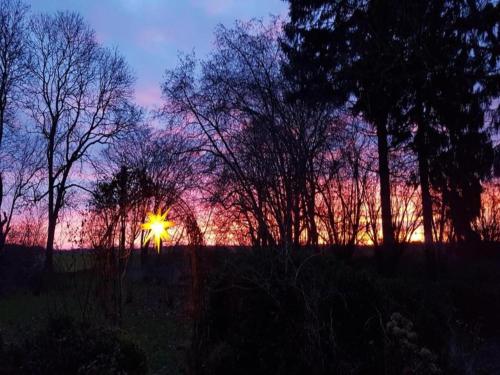 a sunset in a field with trees in the foreground at Spacious Apartment in Boddin with Garden in Boddin