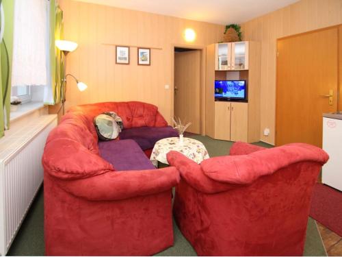 TV a/nebo společenská místnost v ubytování Apartments Spreewaldperle, Alt Zauche