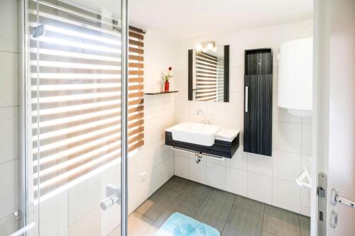 a bathroom with a sink and a shower at Ferienhaus Eldeblick direkt am Eldeufer in Parchim in Parchim