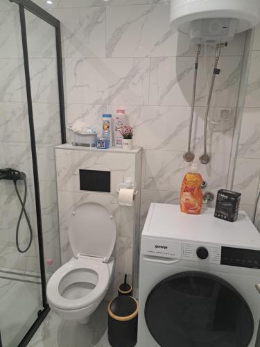 a bathroom with a toilet and a washing machine at Rajsko sunce in Vrnjačka Banja