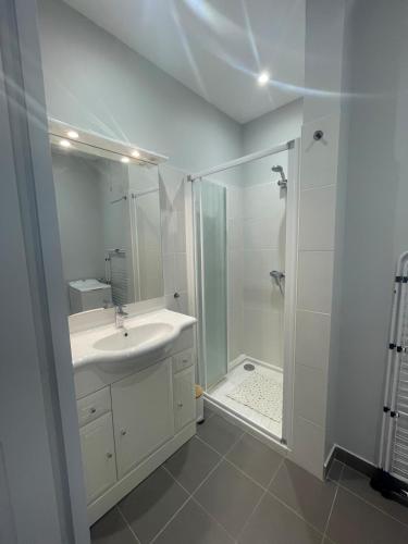une salle de bain blanche avec un lavabo et une douche dans l'établissement Tours Hyper center apartment, à Tours