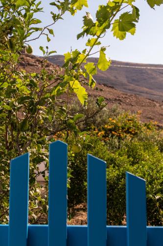 a blue fence with a field in the background at Casa Giardino in Livadi Astypalaias