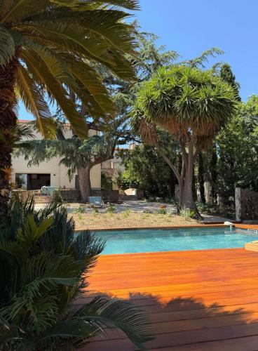 une piscine avec des palmiers en arrière-plan dans l'établissement La Bastide du Cèdre - 20 minutes from Collioure, à Tresserre