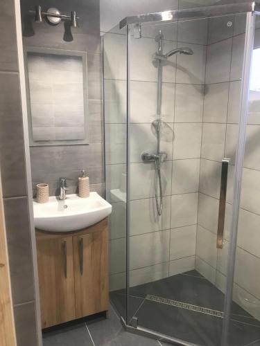 a bathroom with a shower and a sink at Domki Bingo i Blue in Werlas