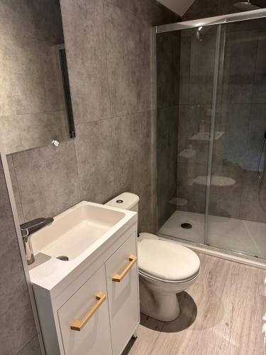 une salle de bain avec toilettes, lavabo et douche dans l'établissement Maisonnette Gambetta, à Amboise