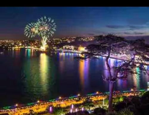 a view of a river at night with fireworks at Alice in Wonderland cottage by the sea in Torquay