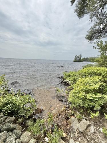 a view of a body of water with trees at PARADISE POINT LIMIT 10 cottage in Casco