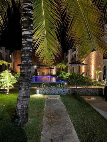 a palm tree next to a swimming pool at night at Villa Naluri - Casa Yodo - Apartamento 1 quarto em Japaratinga in Japaratinga