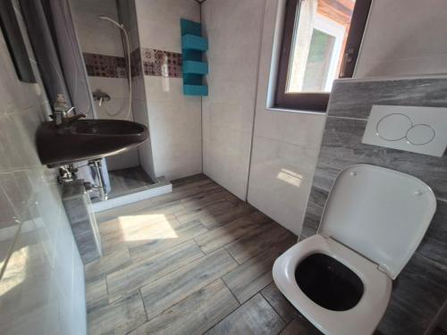 a bathroom with a toilet and a sink at Ferienwohnung Goldener Löwe in Heiligenstadt