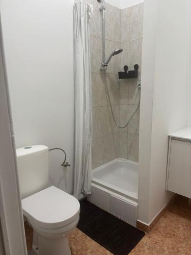 a white bathroom with a toilet and a shower at Studio Lilia in Brussels