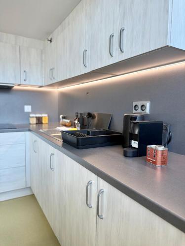 a kitchen with a sink and a counter top at Loft Zlín 1932 in Zlín
