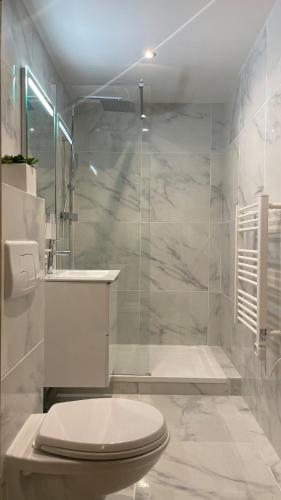 une salle de bain avec toilettes et douche en verre dans l'établissement 2 pièces aux porte de Monaco , Plage , Tennis ,GP, à Beausoleil