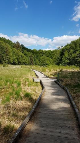 une promenade en bois dans un champ arboré dans l'établissement Sebea, à Chantraine