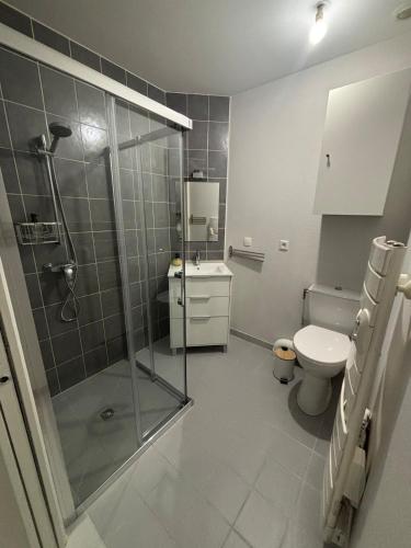 une salle de bain avec une douche, des toilettes et un lavabo dans l'établissement Échappée Dijonnaise - studio cosy au cœur du centre ville, à Dijon