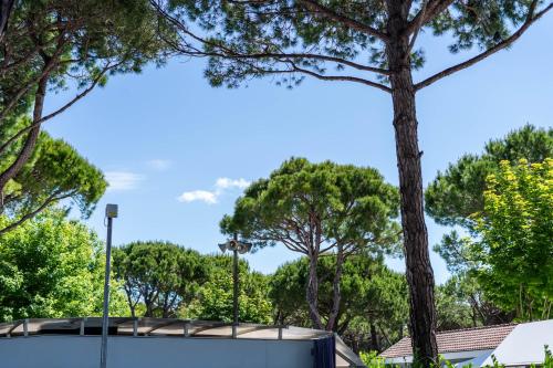 Φωτογραφία από το άλμπουμ του Magnolia - Union Lido στο Cavallino-Treporti