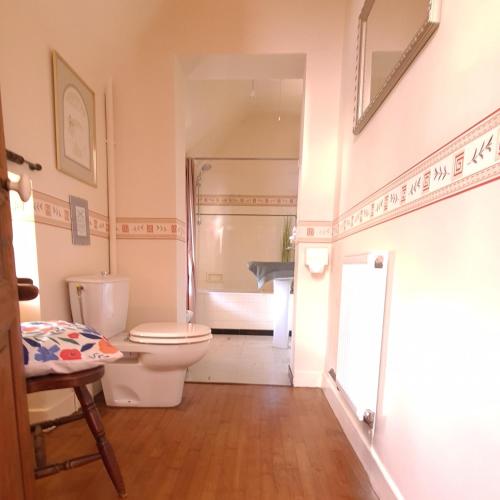 a bathroom with a toilet and a bath tub at CHATEAU DE LACOMTE COUNTRY CLUB in Carlucet