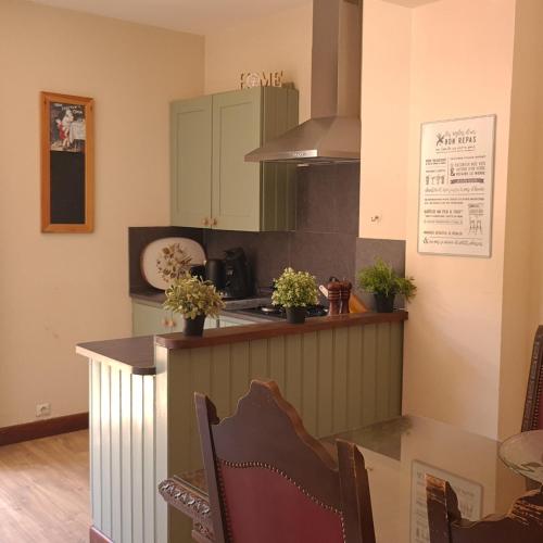 a kitchen with a counter with plants on it at CHATEAU DE LACOMTE COUNTRY CLUB in Carlucet