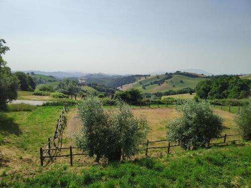 a fence in a field with bushes and trees at Agriturismo Montefiorentino in Frontino