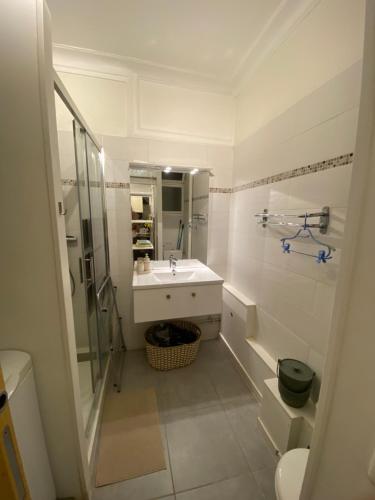 une salle de bain blanche avec un lavabo et une douche dans l'établissement LE BEAU SITE Studio belle époque - Aix Centre, à Aix-les-Bains