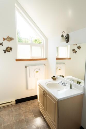 a bathroom with a sink and a window at Wild Coast Wilderness Resort in Port Renfrew