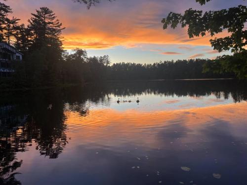 Galeriebild der Unterkunft Waterfront In Law Suite on Wolf Pond in Lake Placid