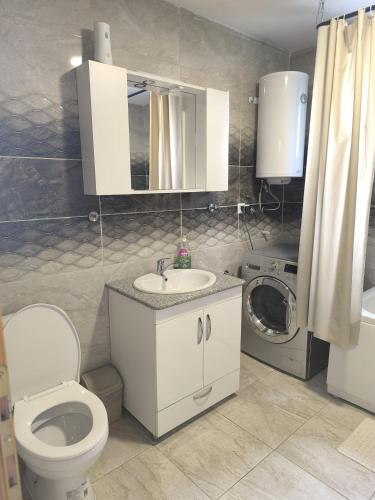 a bathroom with a toilet sink and a washing machine at Apartments Amina Sarajevo in Sarajevo