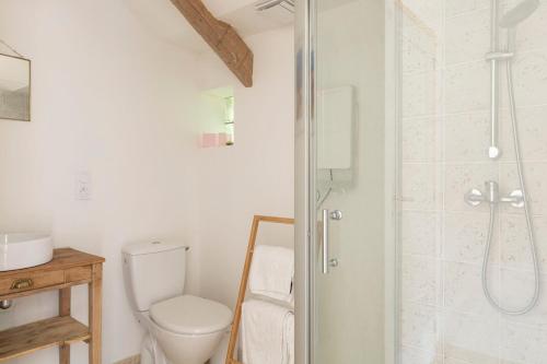 a bathroom with a toilet and a shower at Sweet cottage 1 hr 40 min from Paris in Béthonvilliers
