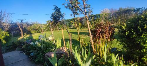 Taman di luar Oaza mira Kris
