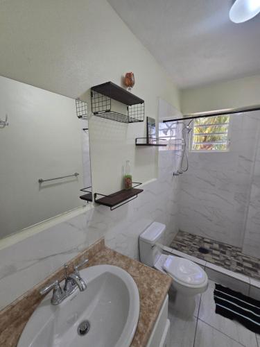 a white bathroom with a sink and a toilet at Tiny Bliss Apartments in Potters Village