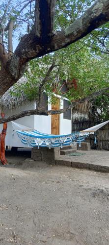 a tree with a hammock in front of a house at Mangrove Island Cabanas in Poneloya