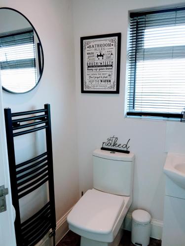a bathroom with a toilet and a mirror and a sink at 'Serenity in Somerset ' Self Catering House Rental Near Chard , Accomodation for Contract Workers only in Chardstock