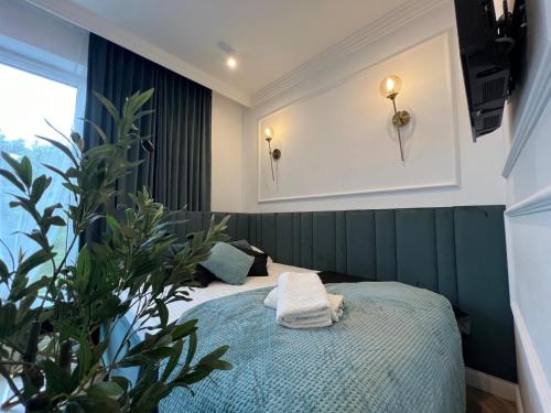 a bedroom with a bed and a plant at Family & Business Sauna Apartments No19 Leśny nad Zalewem Cedzyna Unikat -3 Bedroom with Private Sauna, Bath with Hydromassage, Terrace, Garage, Catering Options in Kielce