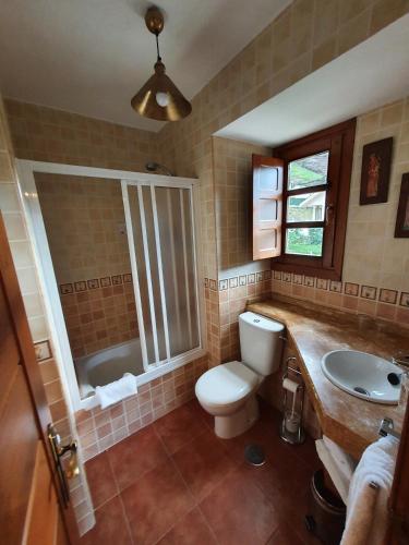 a bathroom with a toilet and a sink at Casa Rural La Pumarada de Limés in Cangas del Narcea