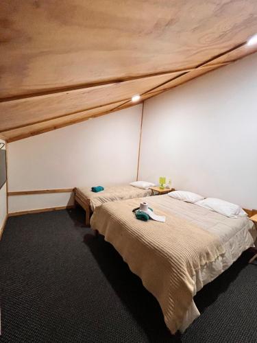 Postel nebo postele na pokoji v ubytování cabañas y hotel antiñanco