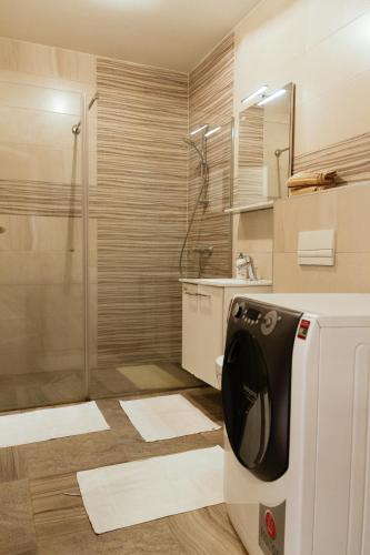 a bathroom with a shower and a washing machine at Aylin Apartman in Sarajevo