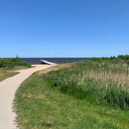 a dirt road next to a beach with the ocean at FF1006 Autentisk Feriebolig i Hemmet med adgang til pool in Hemmet