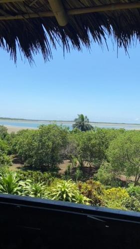 a view of a garden with trees and bushes at Casa Amare Bolivar Zapotal Island 14pax 7hab in Muisne