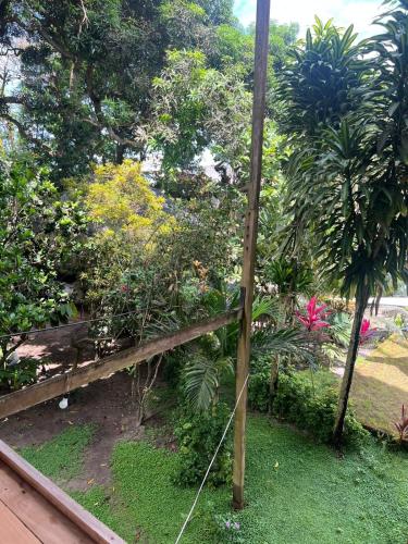 a wooden fence in a garden with trees and plants at Casa Amare Bolivar Zapotal Island 14pax 7hab in Muisne