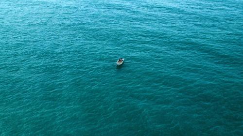 ゲストハウスの近くで見られる自然の景観