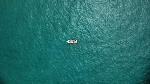 ゲストハウスの近くで見られる自然の景観