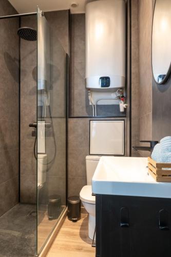 une salle de bain avec toilettes et douche en verre dans l'établissement Charmant studio lumineux au coeur du centre ville, à Dax