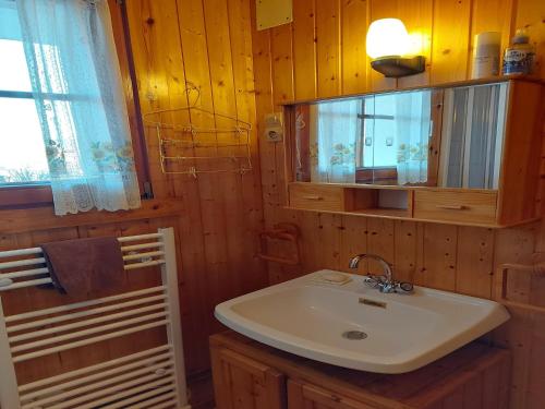 une salle de bain avec un lavabo et un miroir dans l'établissement Chalet in Vosges near Rouge Gazon Ski Resort, cleaning included, à Saint-Maurice-sur-Moselle