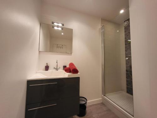 une salle de bain avec un lavabo et une douche dans l'établissement Appartement rénové pour 4 pers., vue mer, salle de jeux et parking inclus - FR-1-364-180, à Saint-Brévin-les-Pins