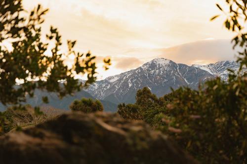a snow covered mountain in the distance with trees at Surfwatch House in Kaikoura