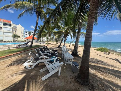 a group of chairs and palm trees on a beach at Sea front apartment, Juan Dolio, San Pedro in San Pedro de Macorís