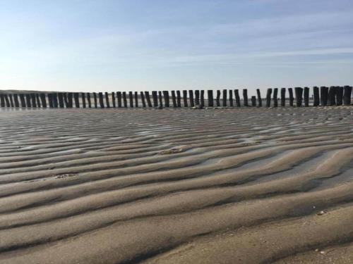Gallery image of Cozy Stay Near Beach, cleaning included in Koudekerke
