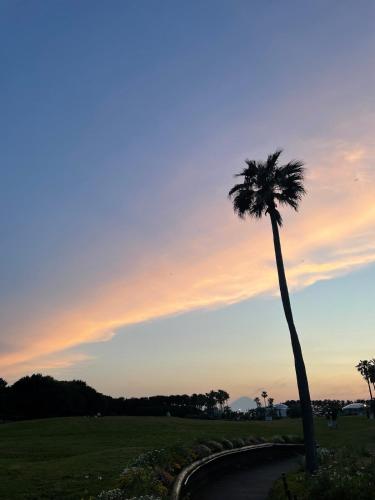 a palm tree in a park at sunset at Ocean Flat 江ノ島鵠沼海岸 in Fujisawa