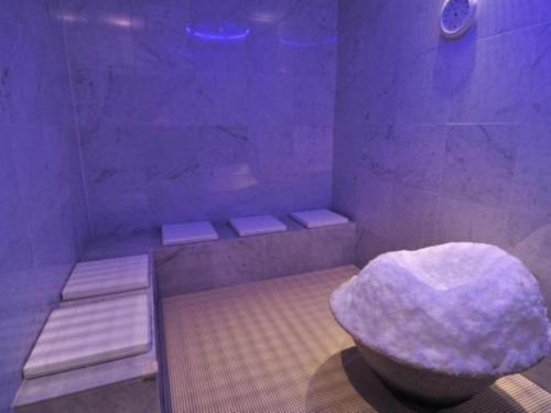 a bathroom with a shower with a toilet in it at Nara Plaza Hotel in Tenri