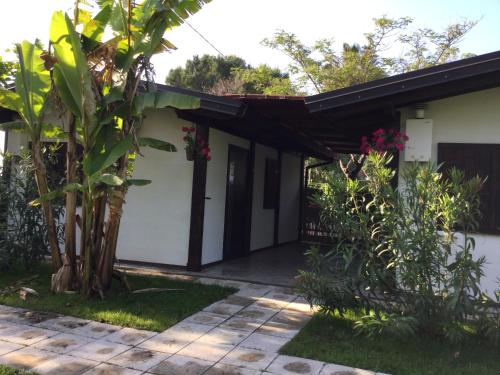 a house with a courtyard and a tree at Ricciardulli Rooms in Policoro